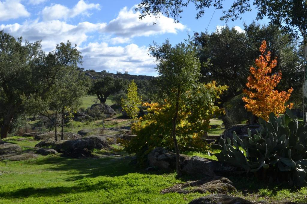 Отель Finca El Cortinal Валенсия-де-Алькантар Номер фото